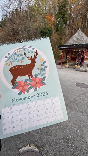 Comment your favourite animal & save this for gift ideas. Link in bio to order.
A whole year of wildlife on your wall 🐾 inspi...