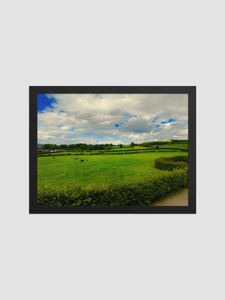 open fields Framed photography Poster product image (2)