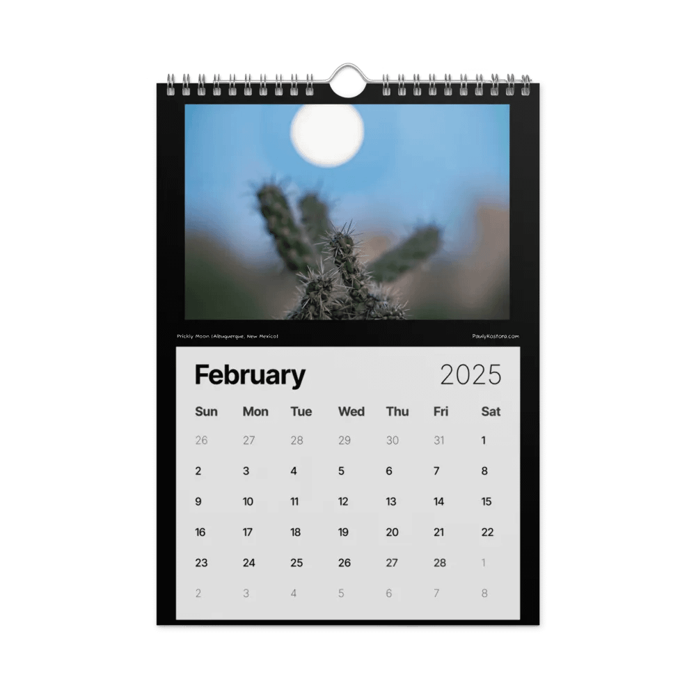 New Mexico Nights 2025 Calendar product image (3)