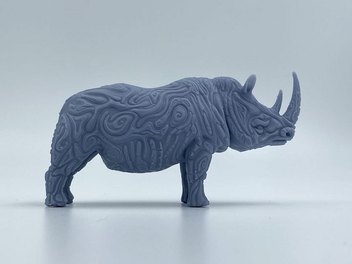 Rhino Morphogenesis- Gray Resin product image (2)