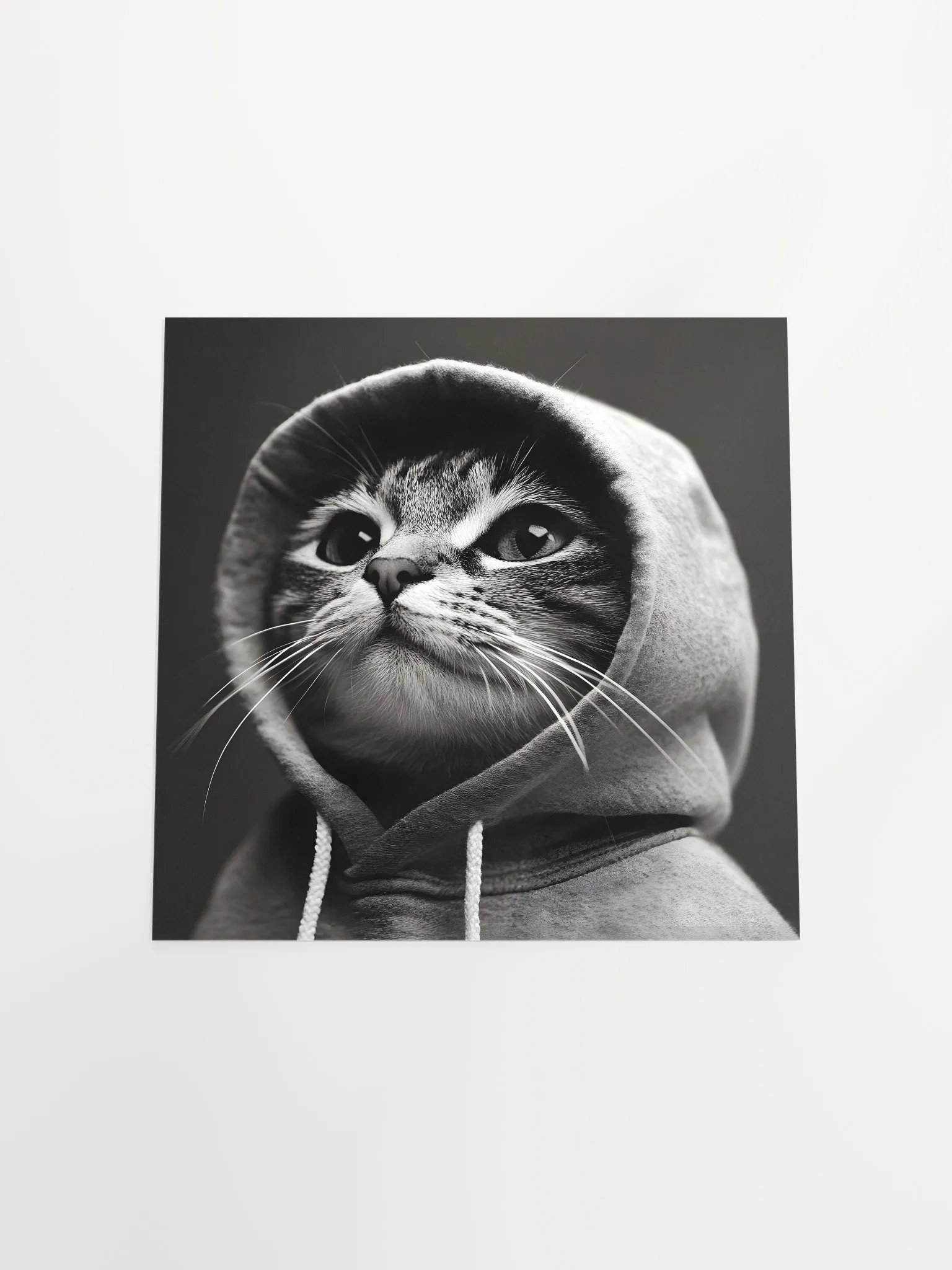 Hacker Cat product image (18)