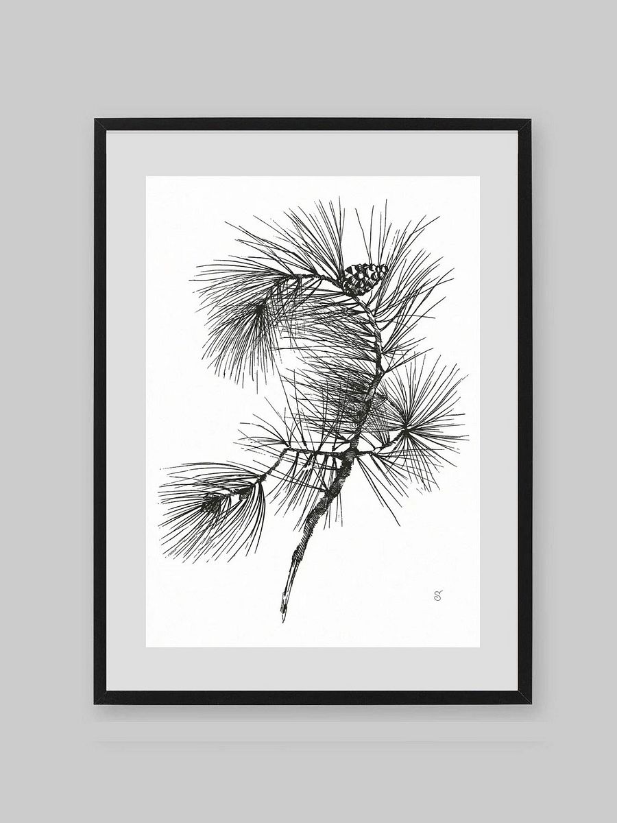 Whimsical Pine Branch Poster - Pine Branch product image (8)