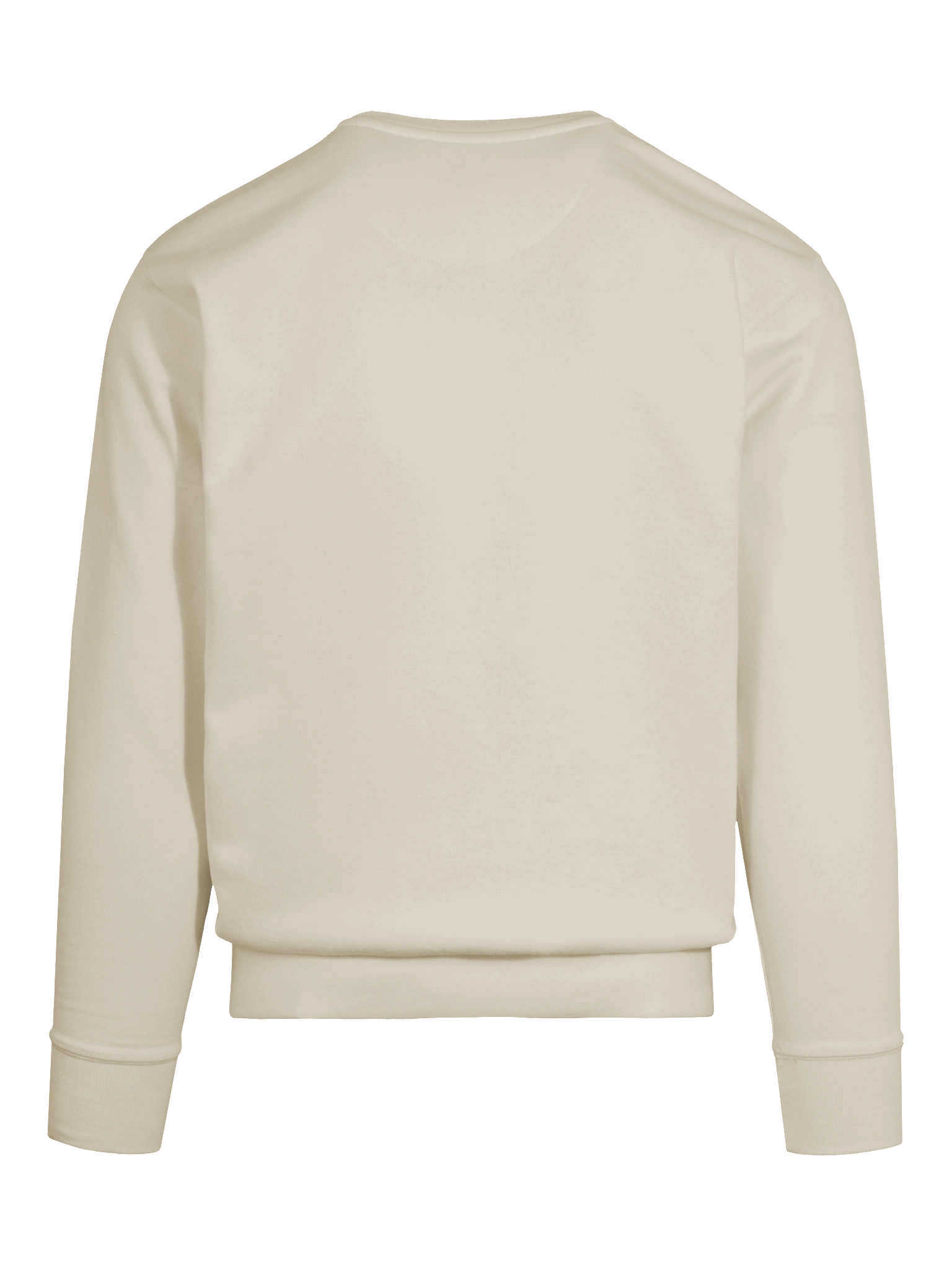 There Shall Be Showers of Blessing - Premium Sweatshirt product image (76)