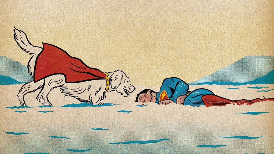 Superman 2025 Movie Krypto product image (2)