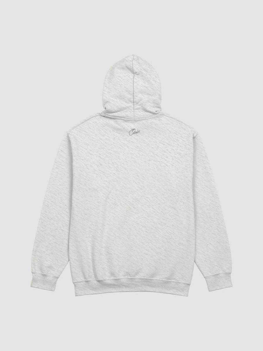 Tism Frog - Hoodie product image (6)