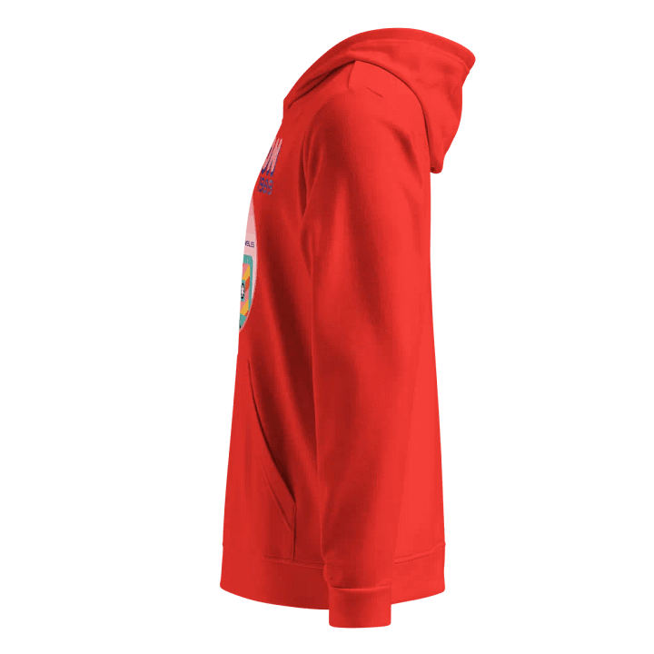 Holecon x adidas pullover hoodie product image (5)