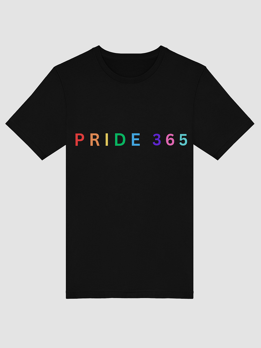 Pride 365 Tee product image (41)