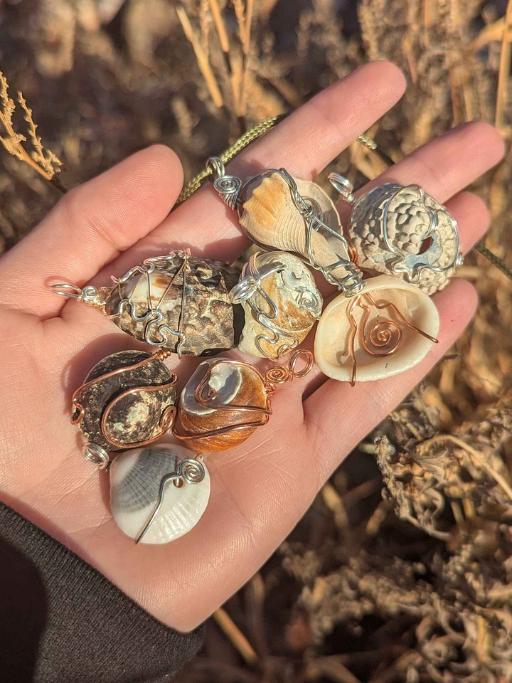 Mystery Seashell Necklace product image (2)