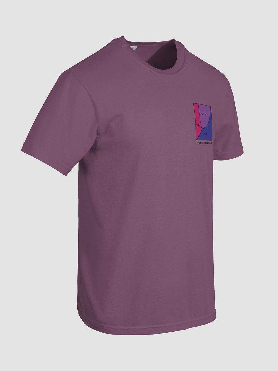 It's Not Just a Phase- Bi T Shirt product image (63)