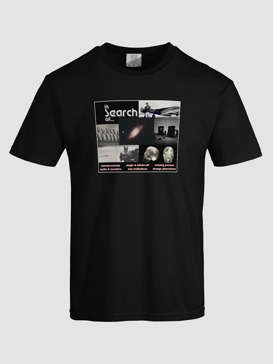 In Search Of... T-Shirt product image (30)