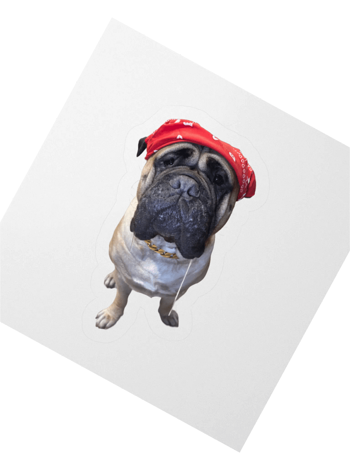 Prison Meech Sticker product image (5)