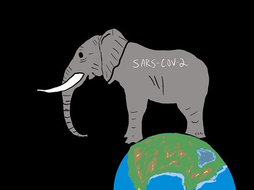 Why won’t you acknowledge me? #sarscov2 #covid #longcovid #elephant #intheroom #nomoredenial