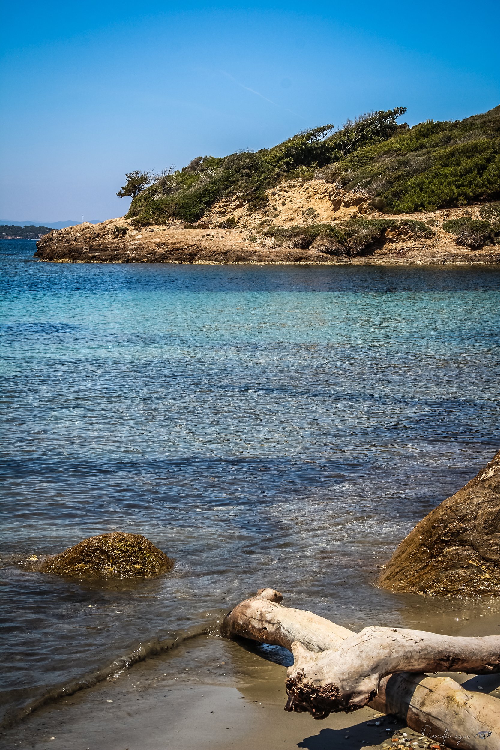 Fine Art – The Driftwood’s Journey - Porquerolle product image (1)
