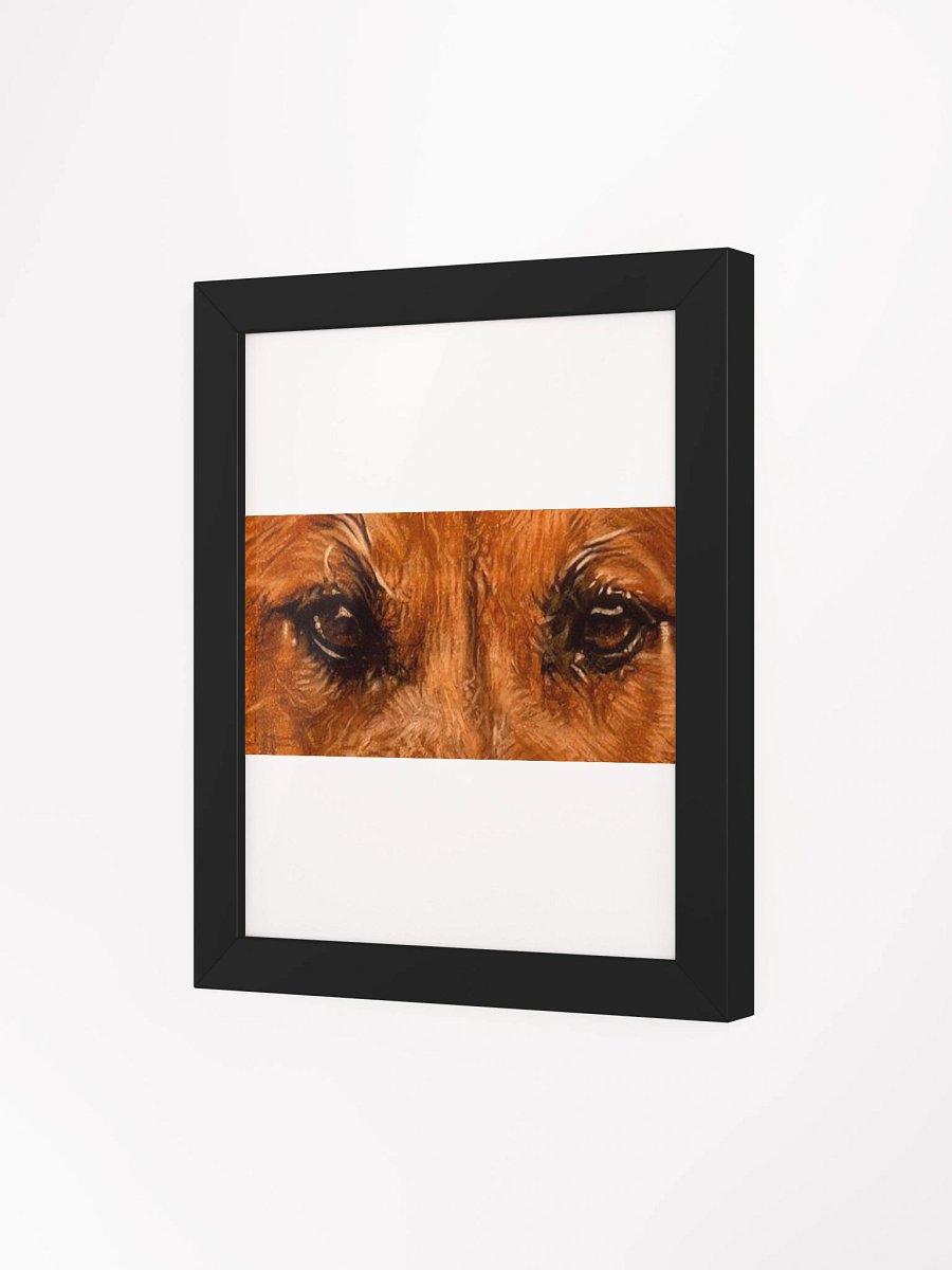 BBlack Mouth Cur Eyes Colored Pencil Framed product image (12)