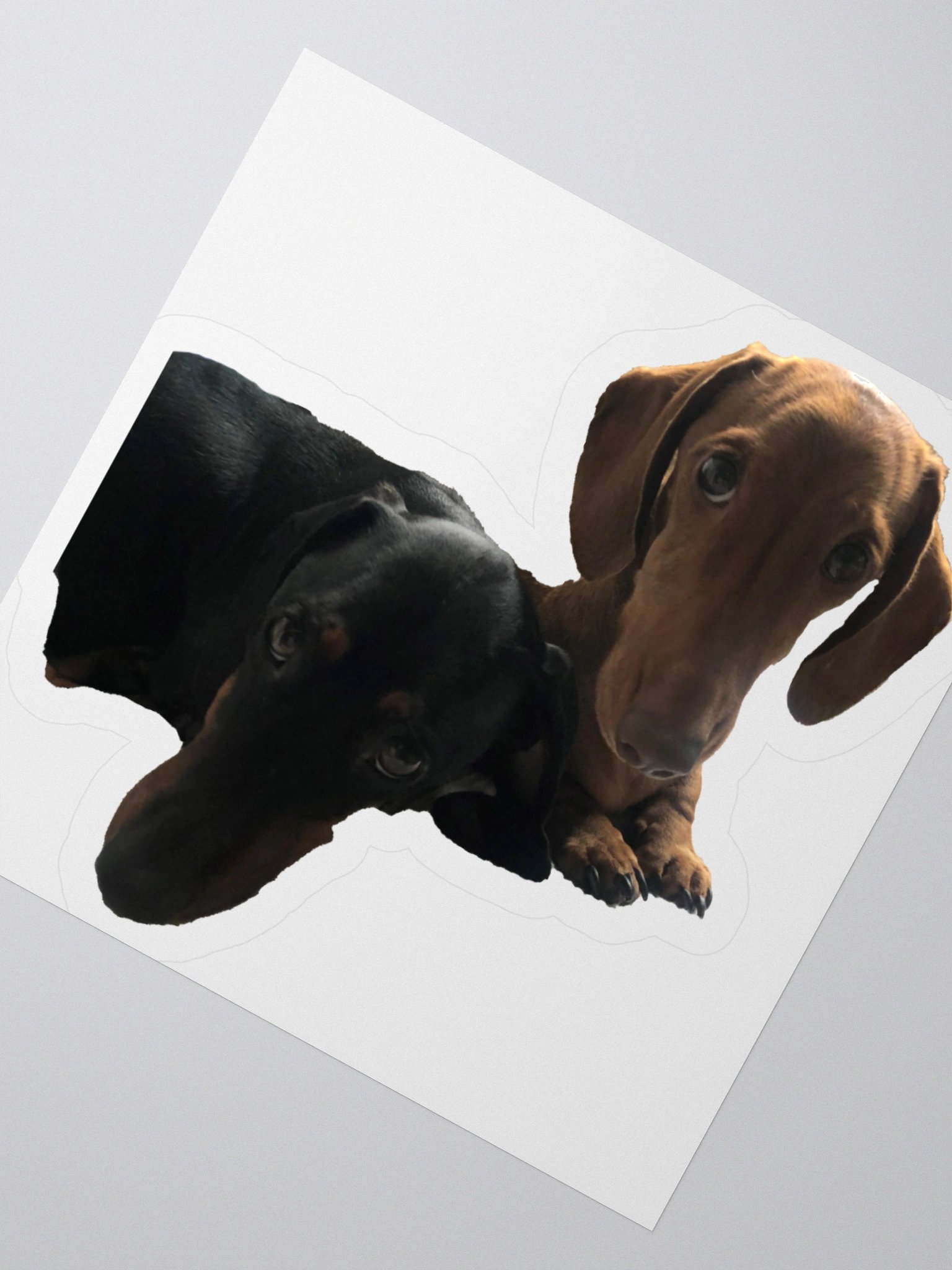 Stan and Marshie Sticker product image (5)