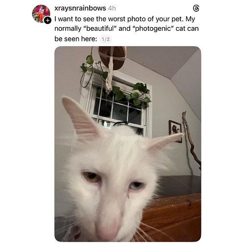 they weren’t ready for their closeup