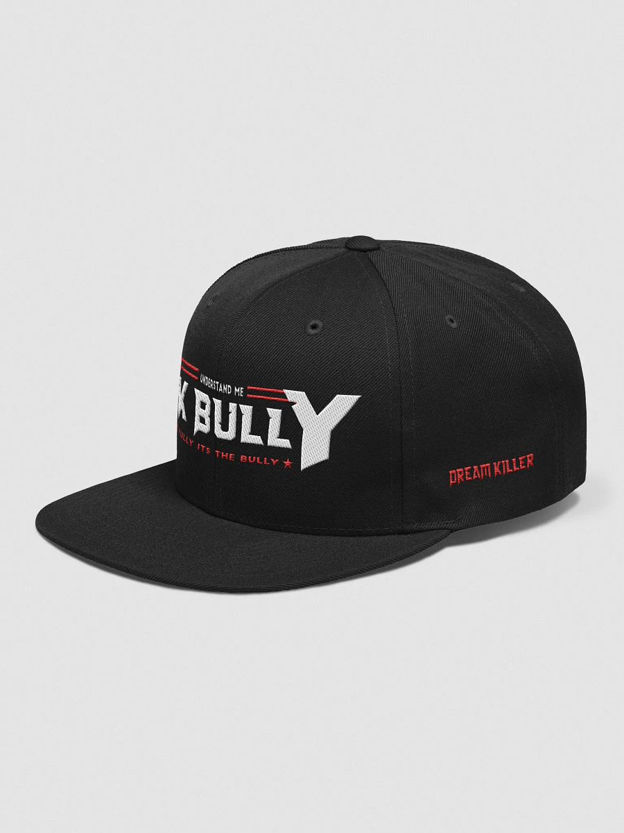 UNDERSTAND FULLY (HAT ) LD product image (3)
