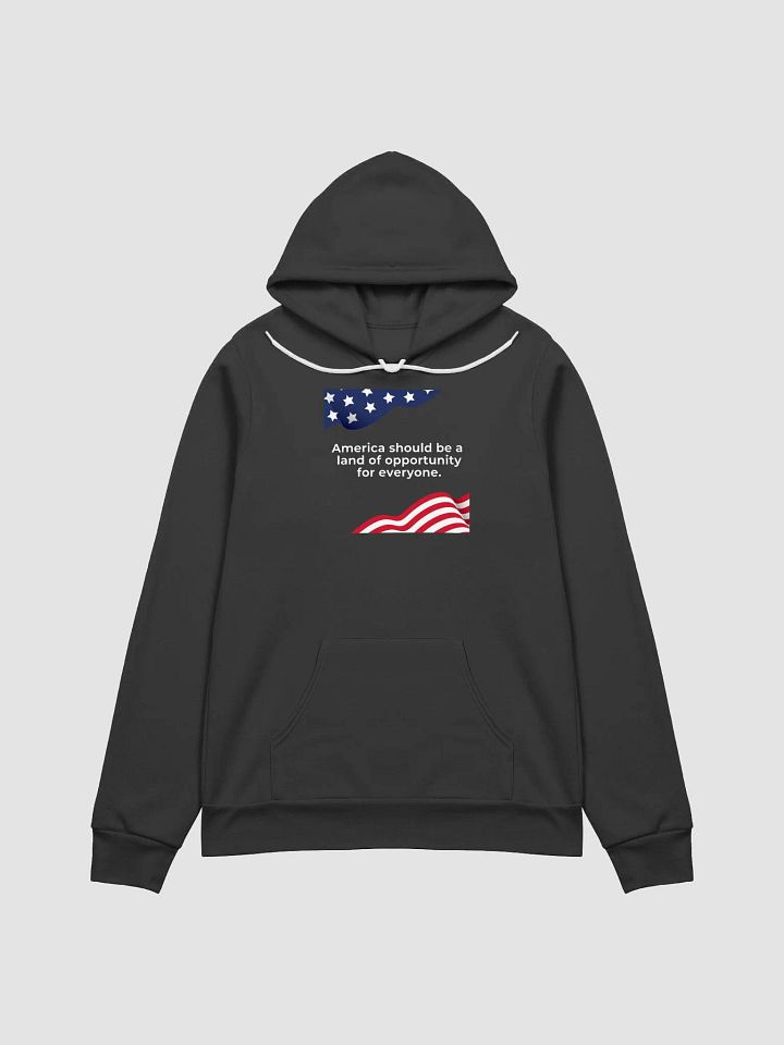 Promise – The Democracy Collection – Hoodie product image (2)