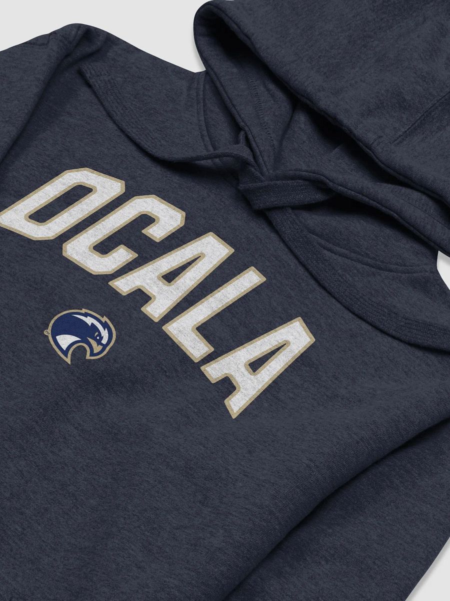 Ocala Eagle Emblem Hoodie product image (3)