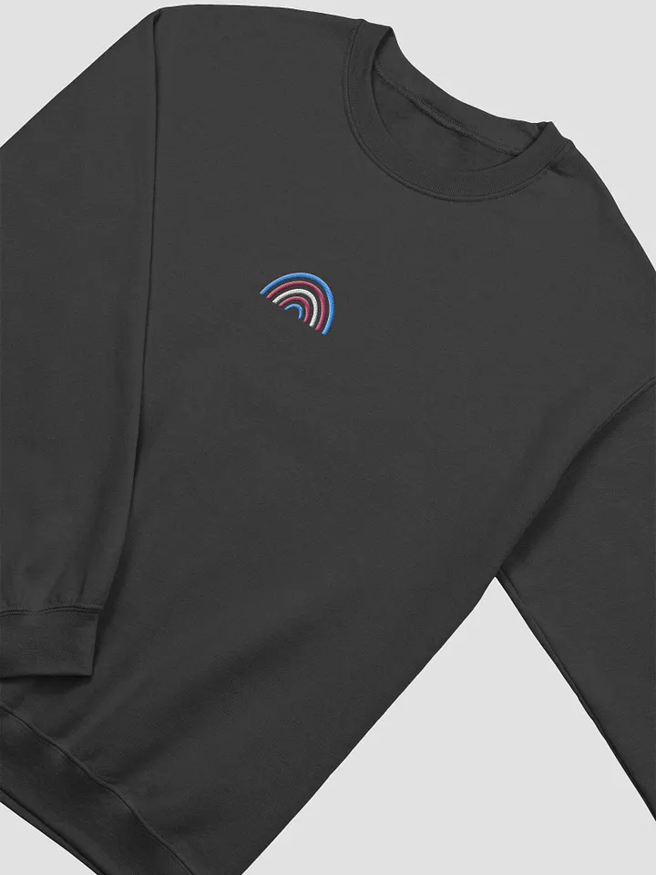PRIDE Crewneck - Transexual product image (2)