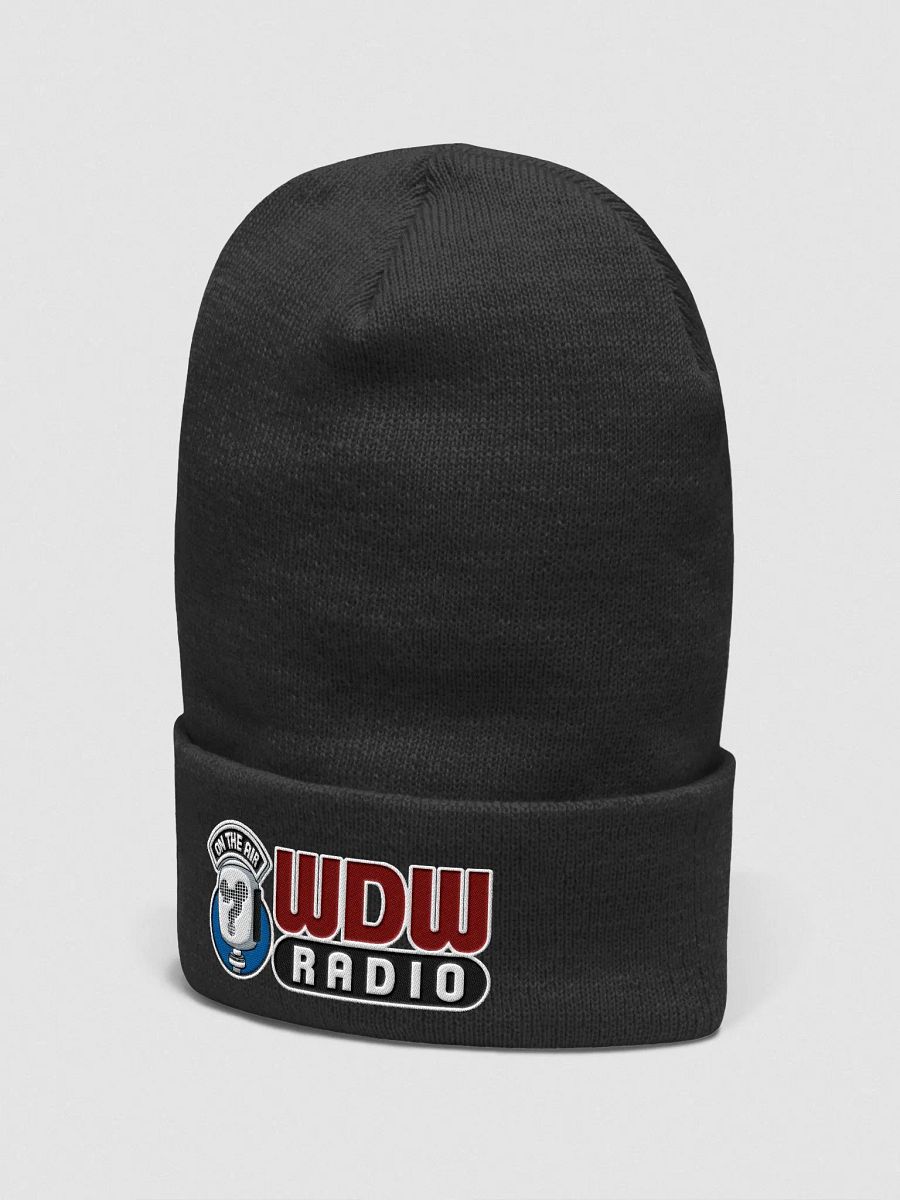 WDW Radio Beanie product image (2)