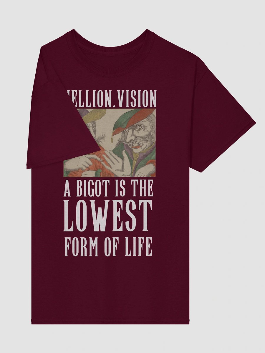 A Bigot Is The Lowest Form of Life Tee product image (4)
