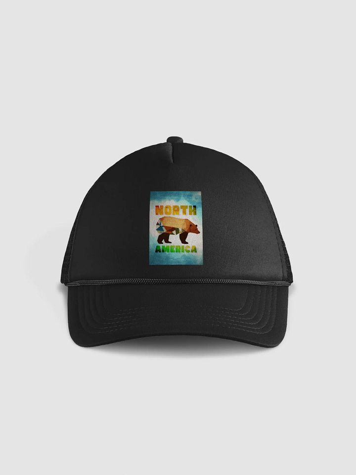 North America - Brown Bear product image (2)