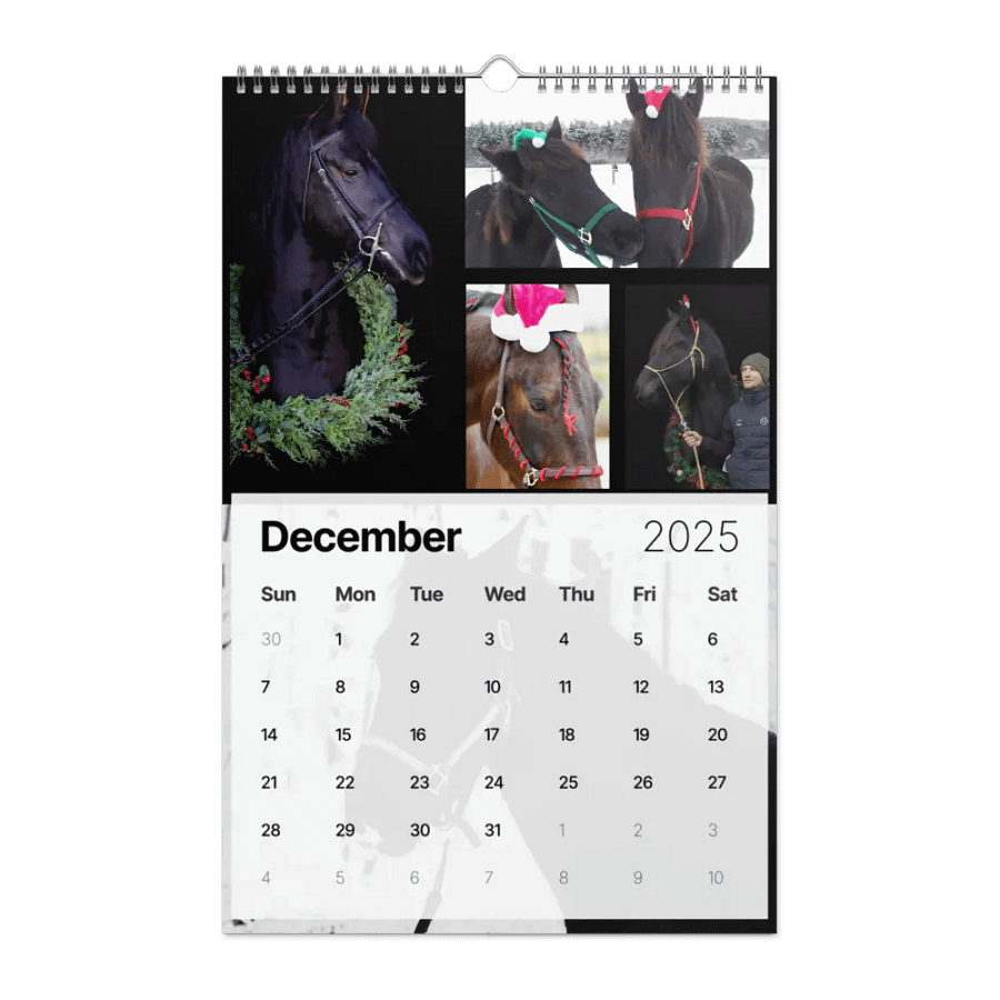 2025 Moriesian Horse Registry Calendar product image (17)