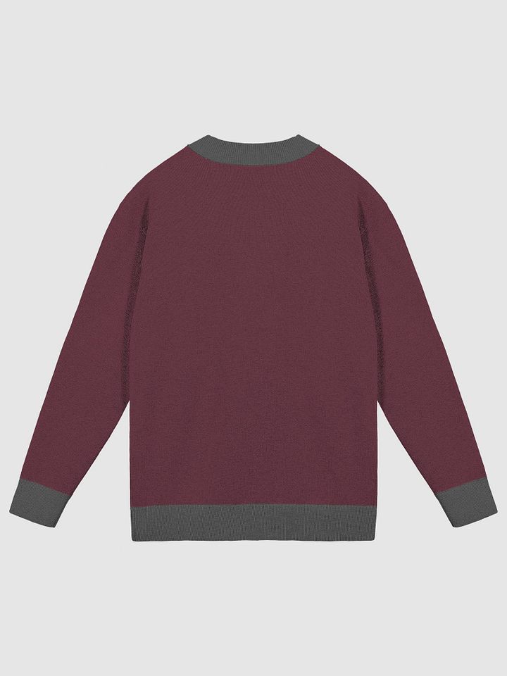 CS Sweater product image (9)