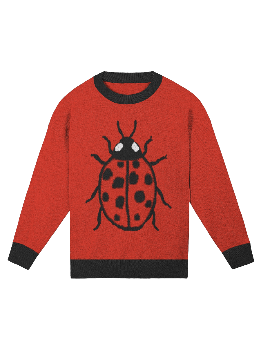 Ladybug Relaxed Jacquard Sweater – Knit Pullover with Lucky Insect Design product image (4)