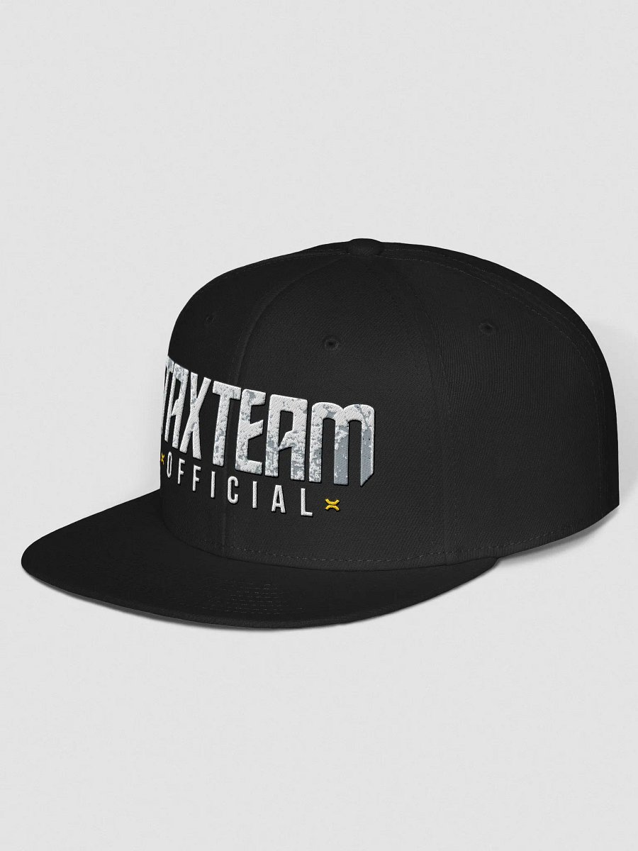 Tax Team Snapback product image (2)