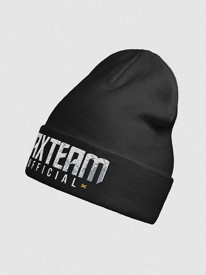 Tax Team Official Beanie product image (2)