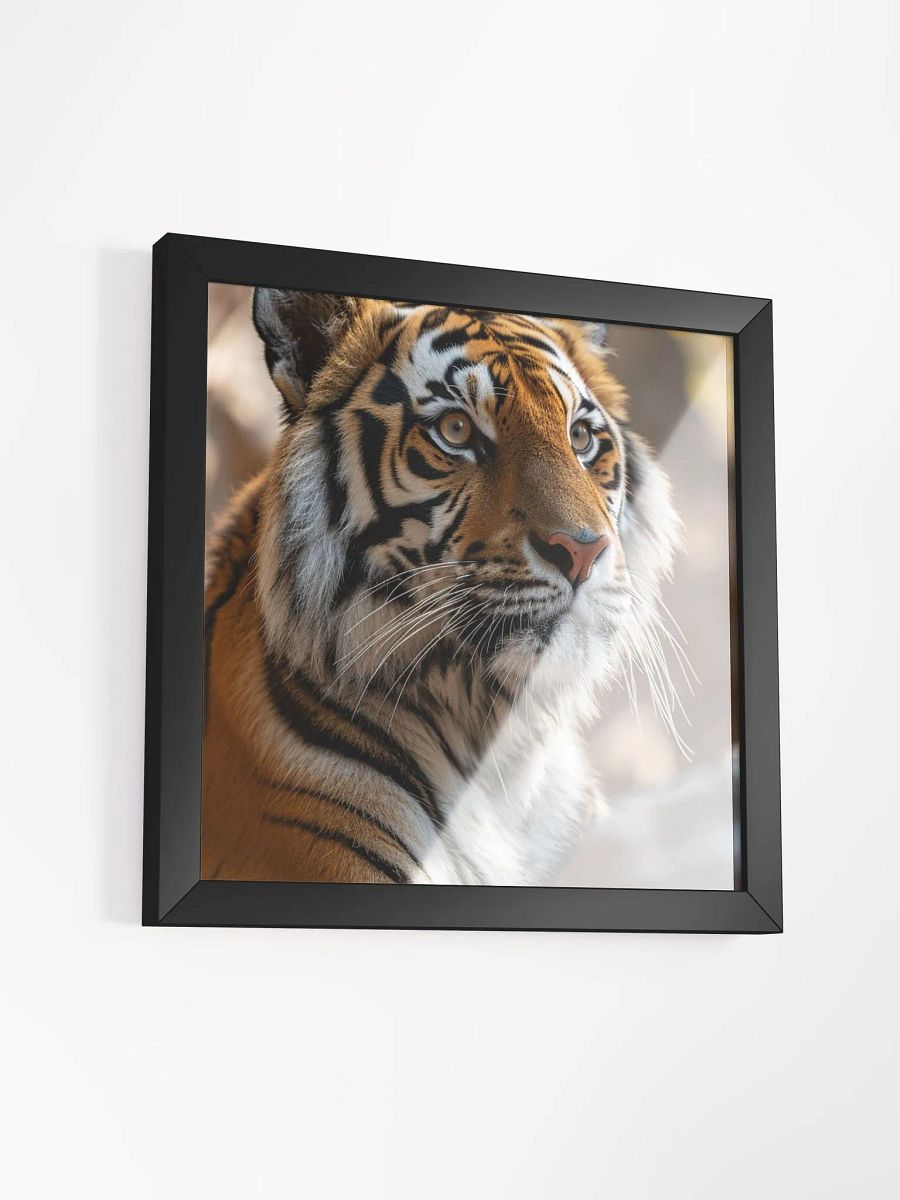 Tiger Solitude: A Portrait of Majestic Calm product image (3)