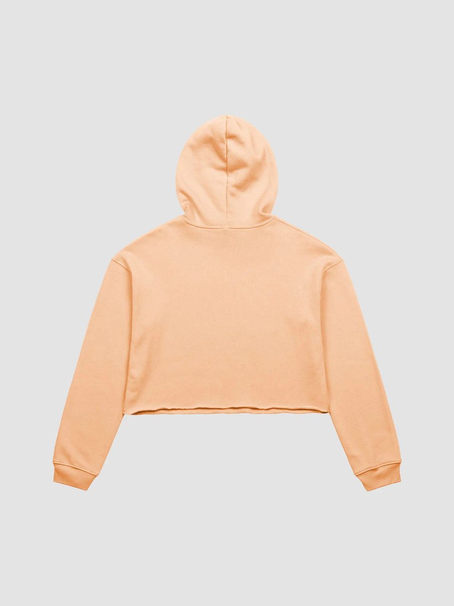 FYF crop hoodie product image (6)