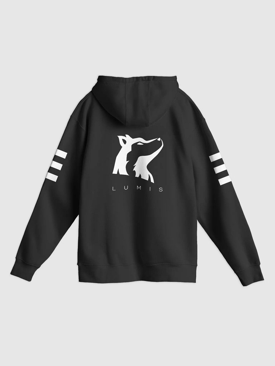 Lumis Regular Hoodie - Premium Stripes product image (2)