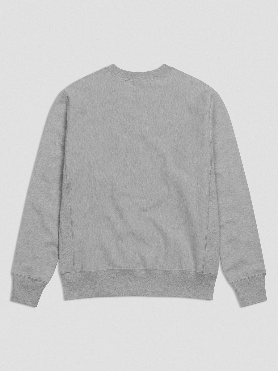 Vintage University Crewneck Sweatshirt (Champion) product image (3)