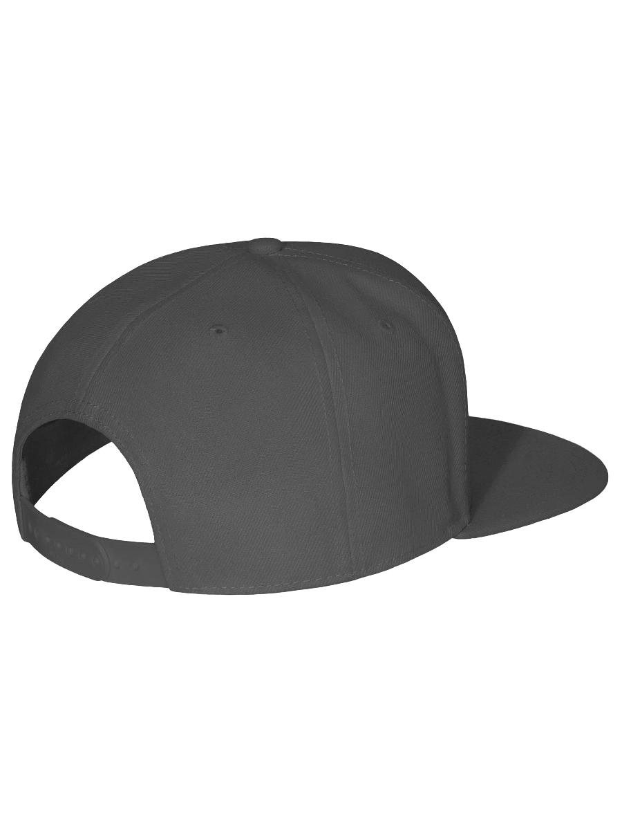 Forbiddenlemons embroided cap product image (5)