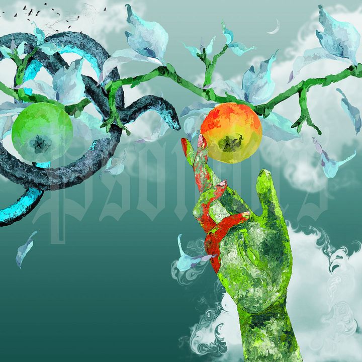 bird's eye product image (1)