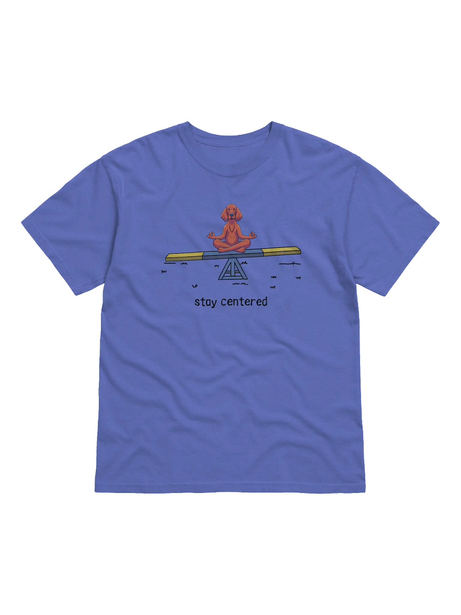 Stay Centered - Irish Setter Tee Shirt product image (1)