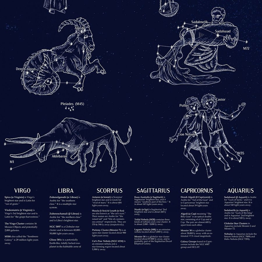 Zodiac Constellation Art & Infographics Poster product image (2)