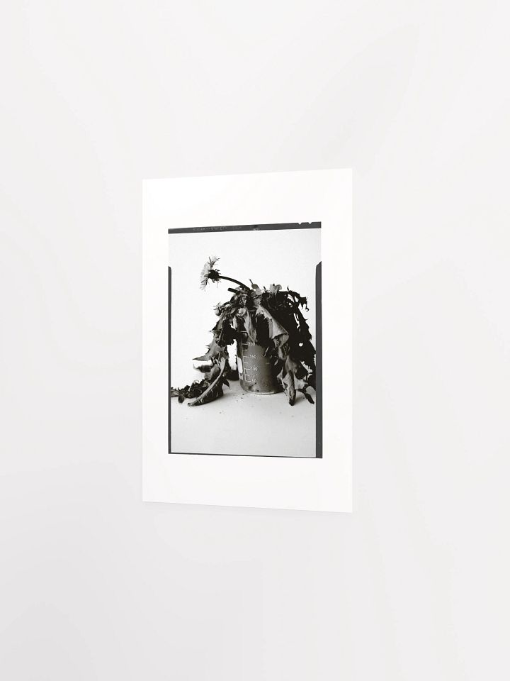James C'Avedon Print • "Mud Portrait #1" product image (2)