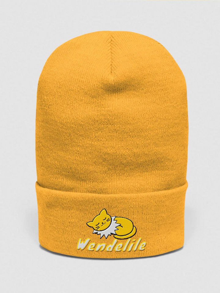 Special Cat Beanie product image (1)