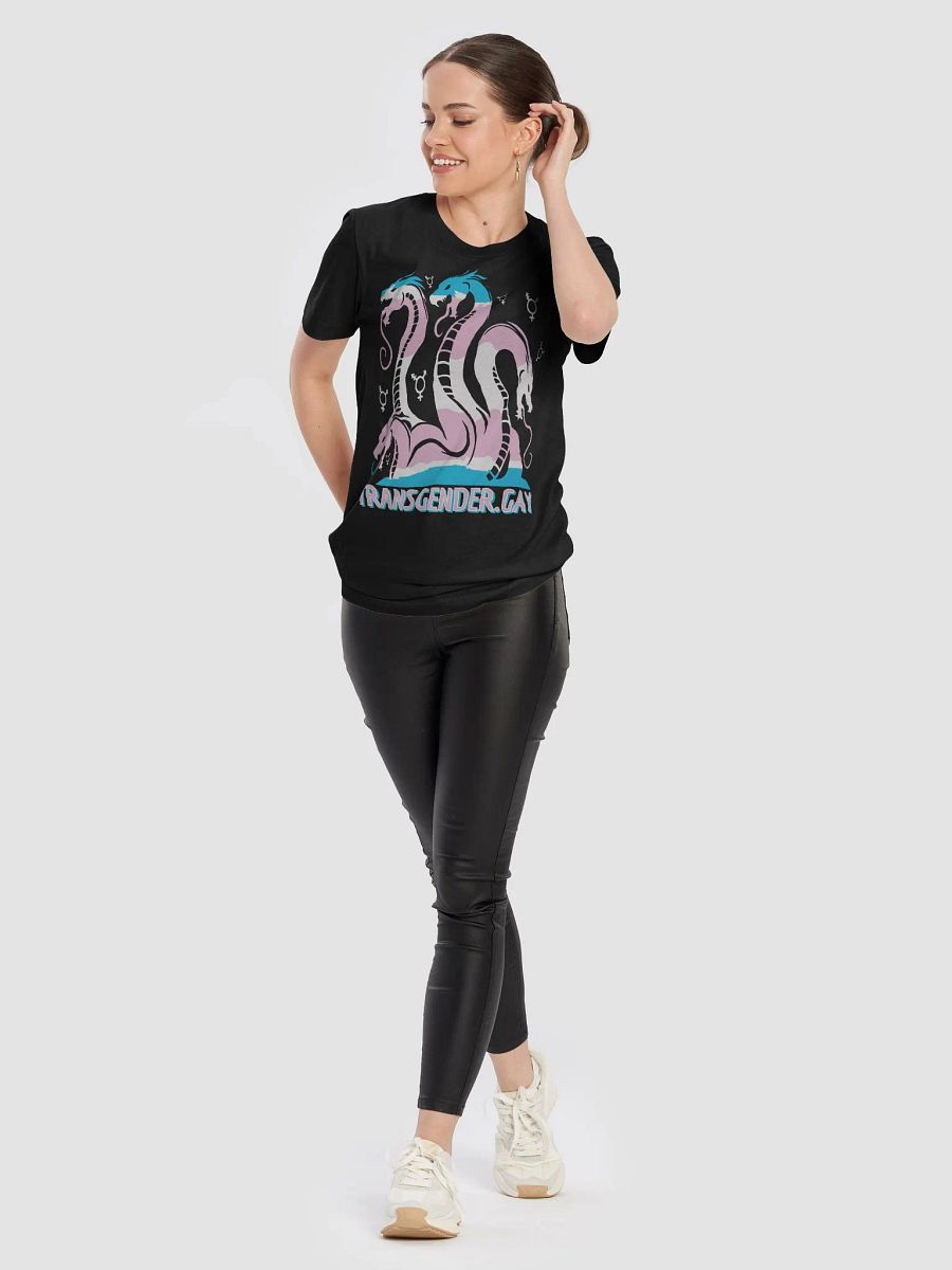 Queerdra Shirt product image (7)