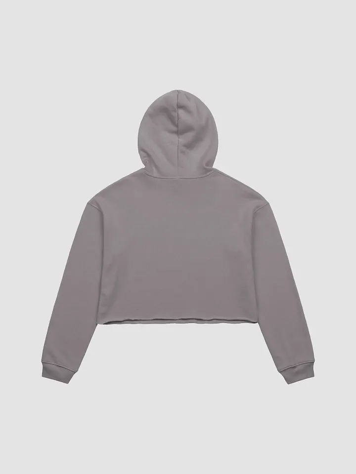 Citation Needed Fleece Crop Hoodie product image (30)