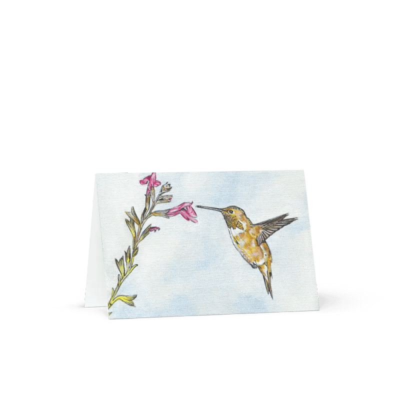 Greetings Card - Hummingbird