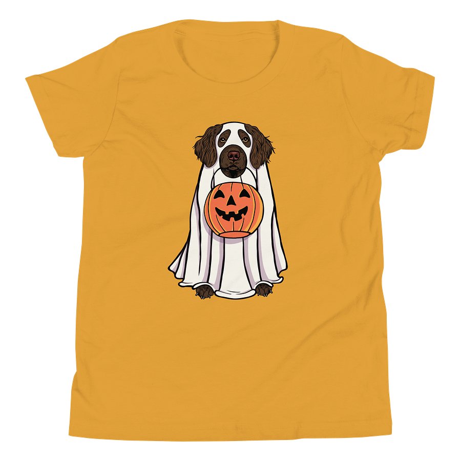 Halloween Boykin Spaniel Youth T-Shirt product image (20)