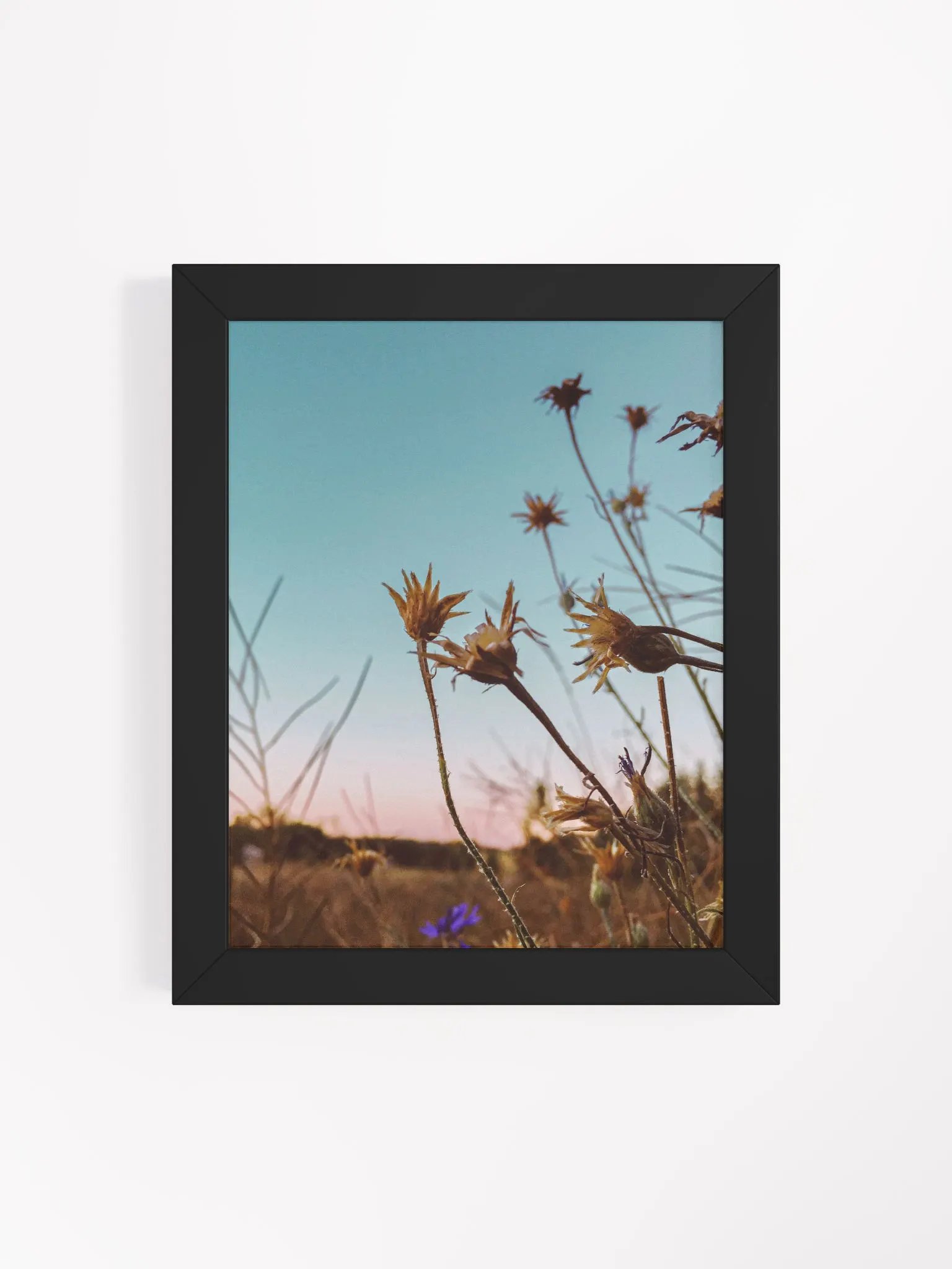 Wildflowers at Sunrise product image (37)