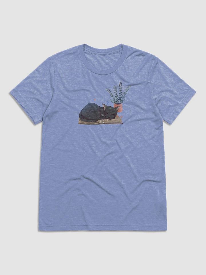 Locke Bella+Canvas Triblend Short Sleeve T-Shirt product image (1)