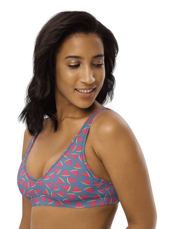 Watermelon Patterns Bikini Top product image (1)