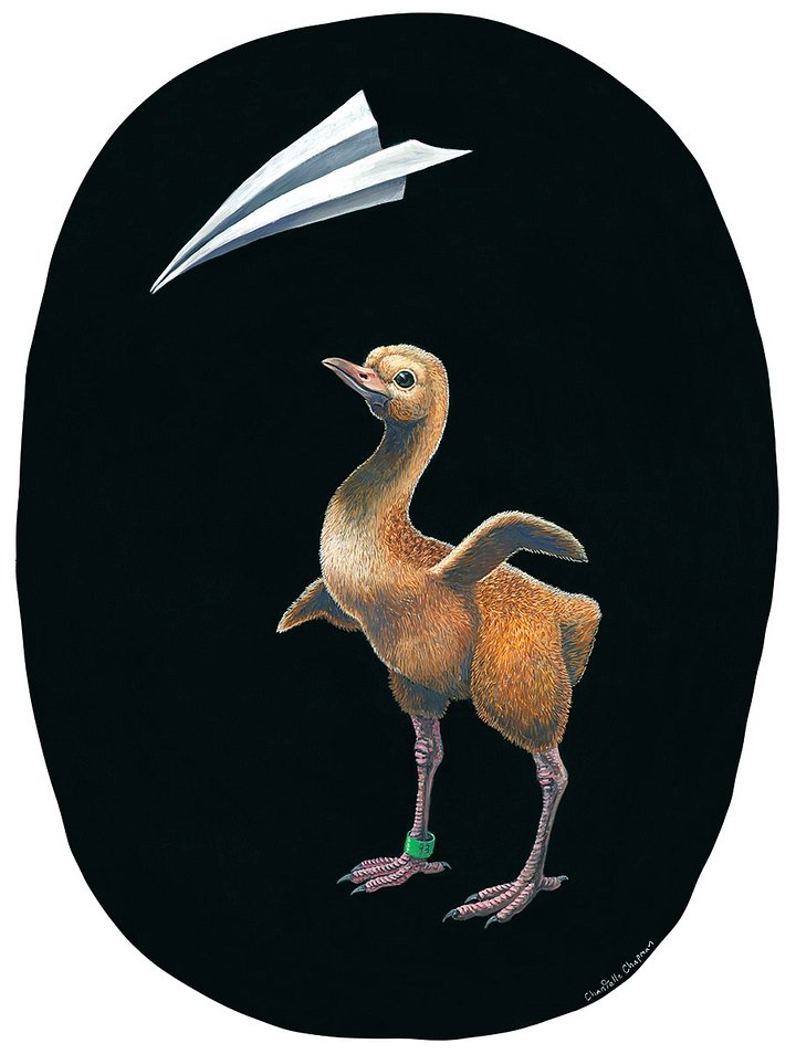 Assisted Migration (Whooping Crane) - Art Print product image (1)